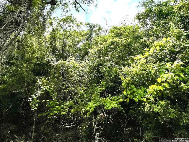 TBD Lakeshore Park Dr, Bandera, TX 78003