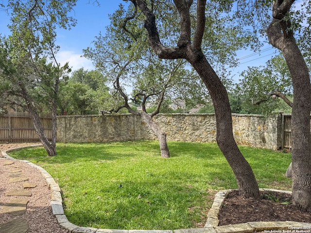 51 Roan, San Antonio, TX 78259 - view of yard featuring fence