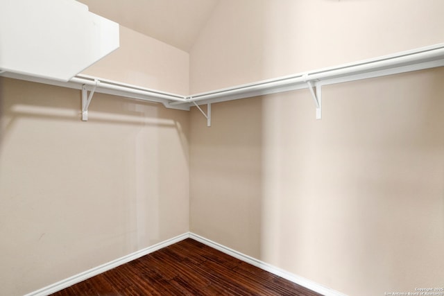spacious closet featuring dark wood-style flooring