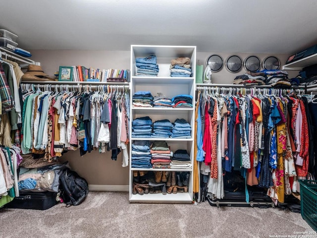 1639 Redwood, Seguin, TX 78155 - walk in closet featuring carpet flooring