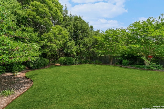 300 Knoll Spgs, Boerne, TX 78006 - view of yard featuring a fenced backyard