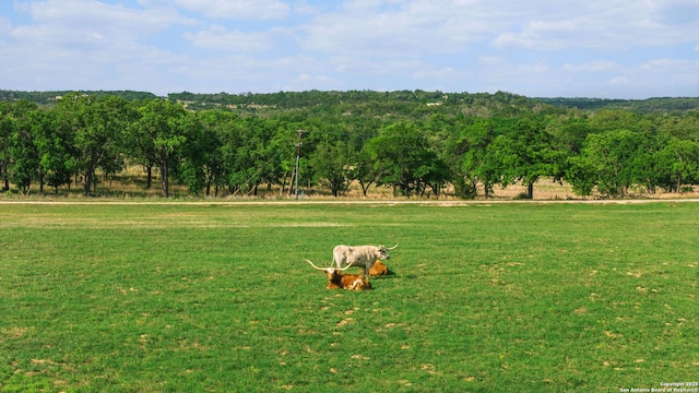 LOT625 W Eldorado Ridge Dr, Fredericksburg, TX 78624