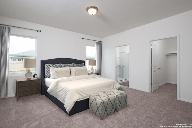 carpeted bedroom featuring baseboards, multiple windows, a walk in closet, and ensuite bath