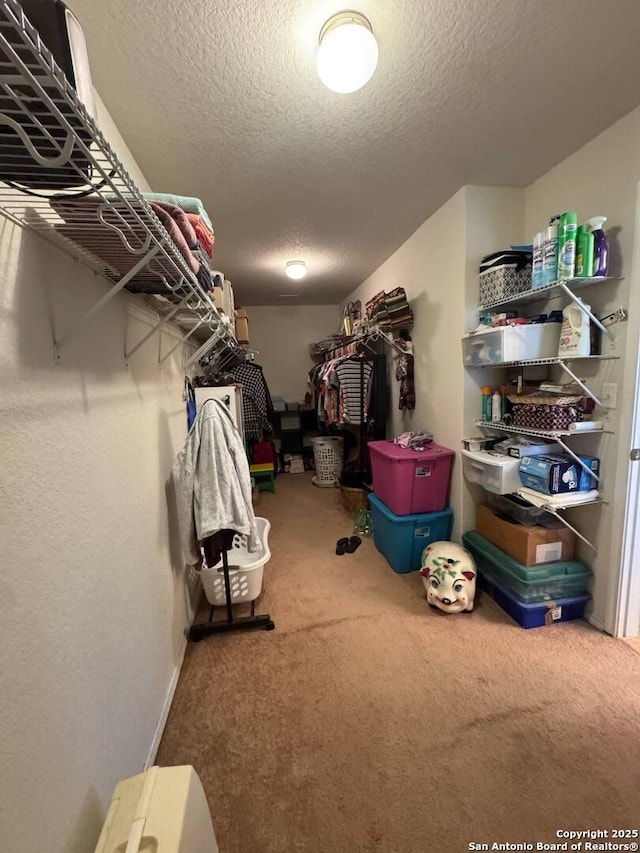 spacious closet featuring carpet