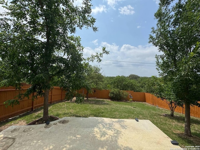 view of yard with a fenced backyard and a patio area