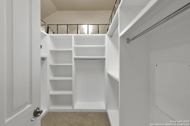 walk in closet featuring carpet