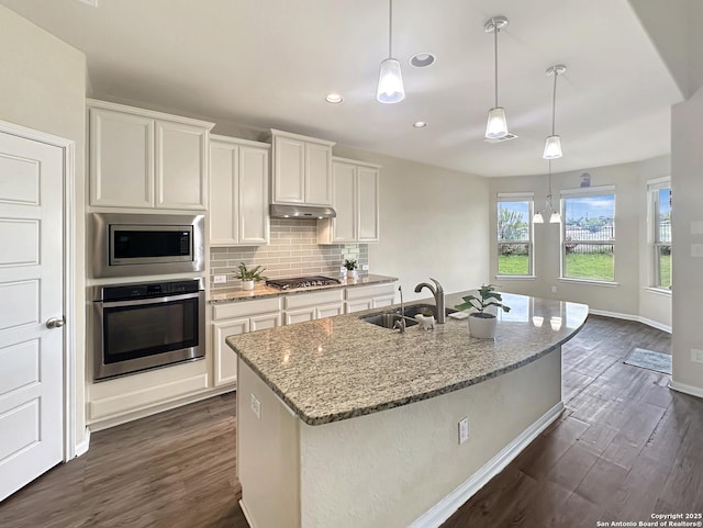 104 Talavera, Boerne, TX 78006 - kitchen with stainless steel appliances, a sink, dark wood-style flooring, under cabinet range hood, and recessed lighting