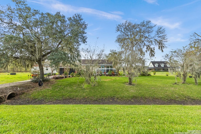 6377 County Road 659, Brazoria, TX 77422 - view of yard