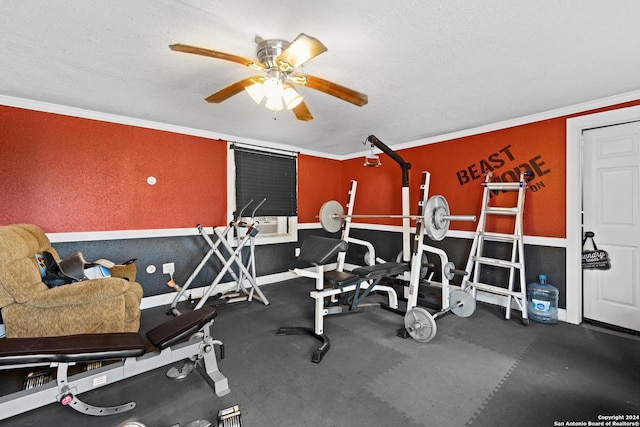 6377 County Road 659, Brazoria, TX 77422 - workout area with baseboards, ceiling fan, ornamental molding, and a textured ceiling