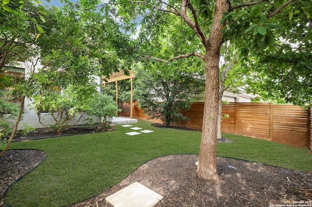 440 E Olmos, San Antonio, TX 78212 - view of yard