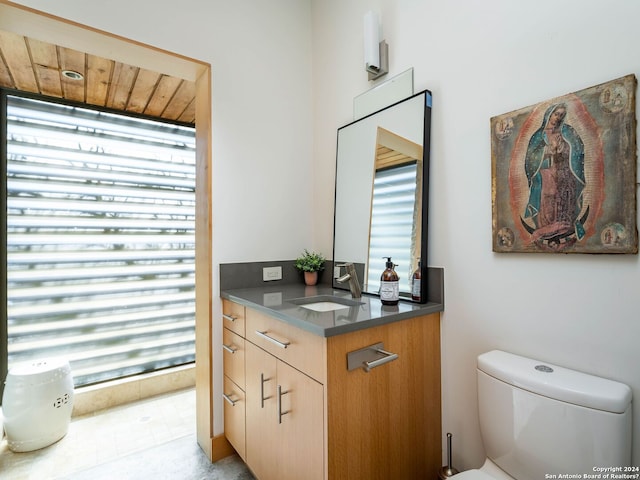 bathroom with toilet and vanity