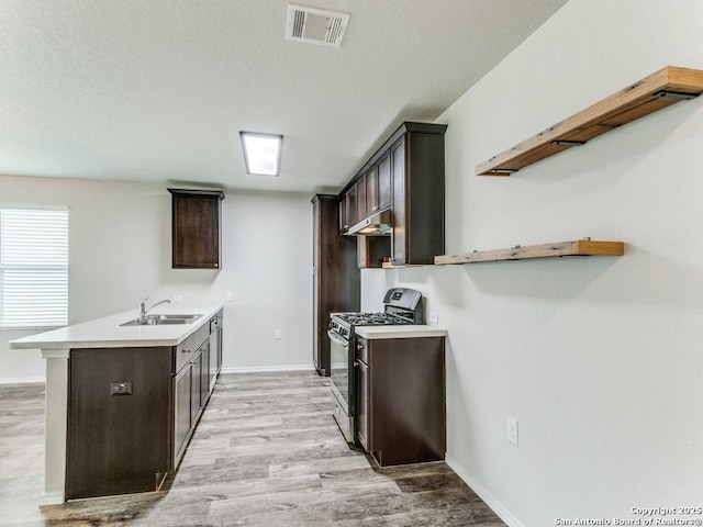 kitchen with a sink, stainless steel gas stove, and dark brown cabinets