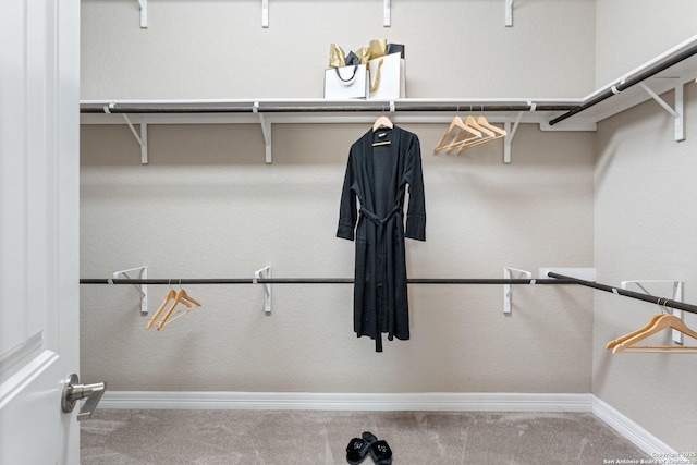 spacious closet with carpet floors