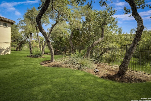 22932 Estacado, San Antonio, TX 78261 - view of yard
