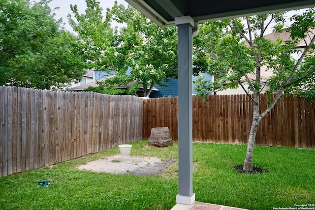 view of yard with a fenced backyard