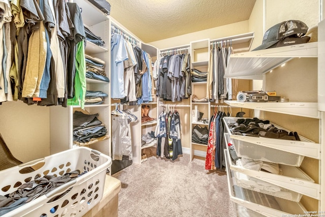 walk in closet featuring carpet flooring