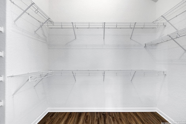 walk in closet with dark wood finished floors