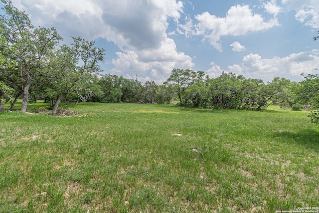 view of yard with a rural view
