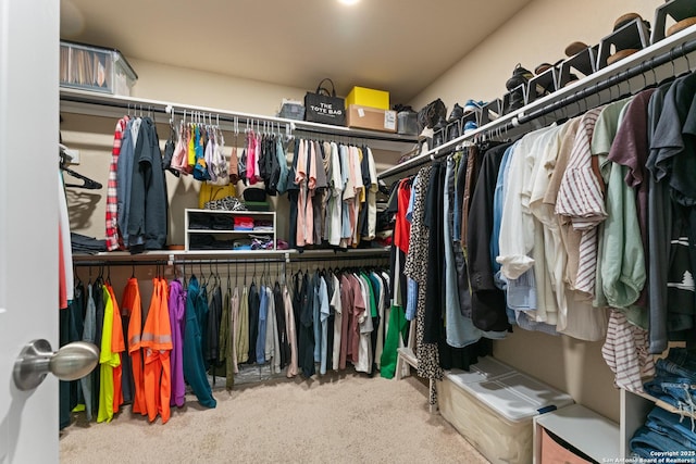 walk in closet featuring carpet floors