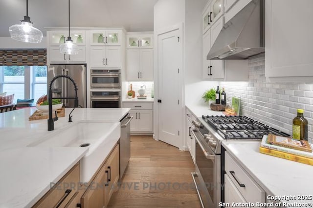 kitchen featuring decorative backsplash, hanging light fixtures, a sink, ventilation hood, and stainless steel appliances