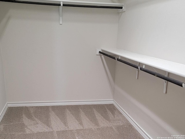 walk in closet with carpet floors