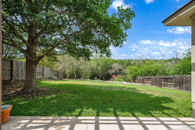 view of yard featuring a fenced backyard