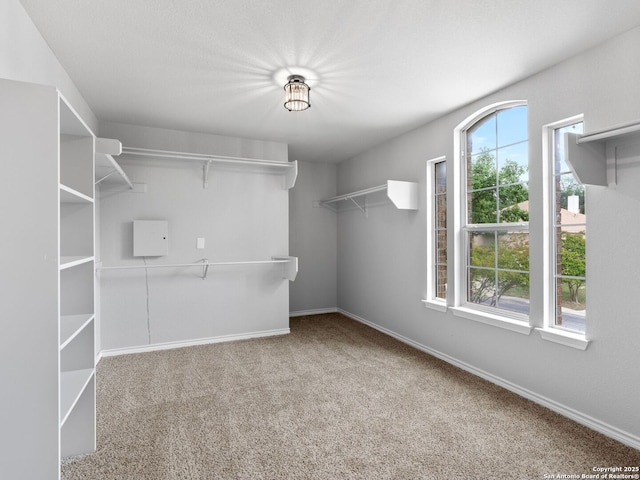 6027 Cedar Path, San Antonio, TX 78249 - walk in closet featuring carpet floors