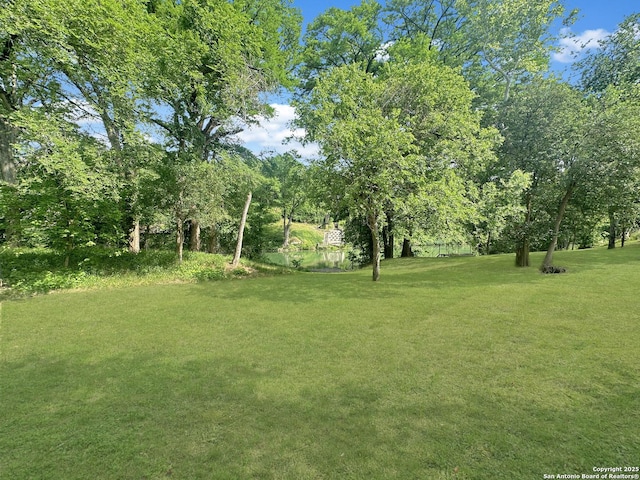 1262 Sleepy Holw, New Braunfels, TX 78130 - view of yard
