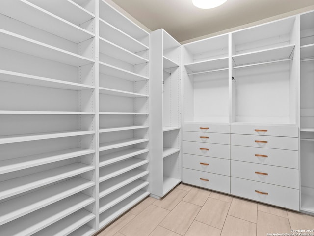 view of spacious closet