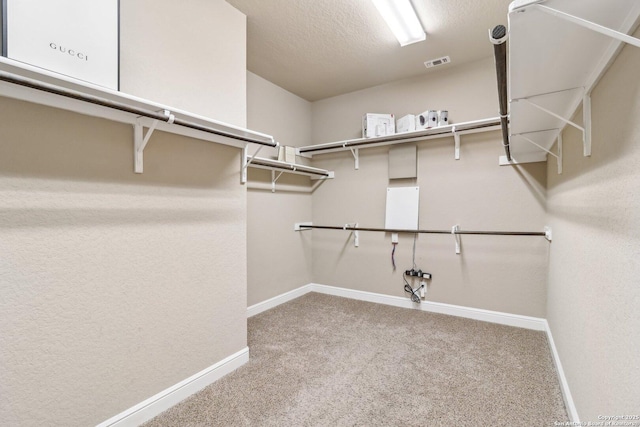 spacious closet featuring carpet flooring and visible vents