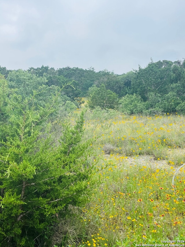 14333 Santa Loma, Helotes, TX 78023