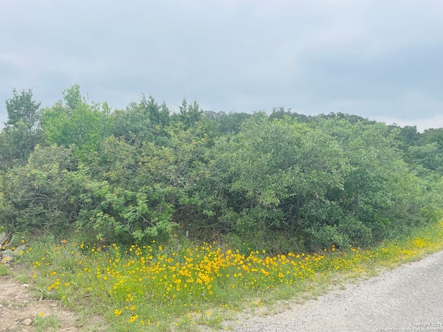 14333 Santa Loma, Helotes, TX 78023