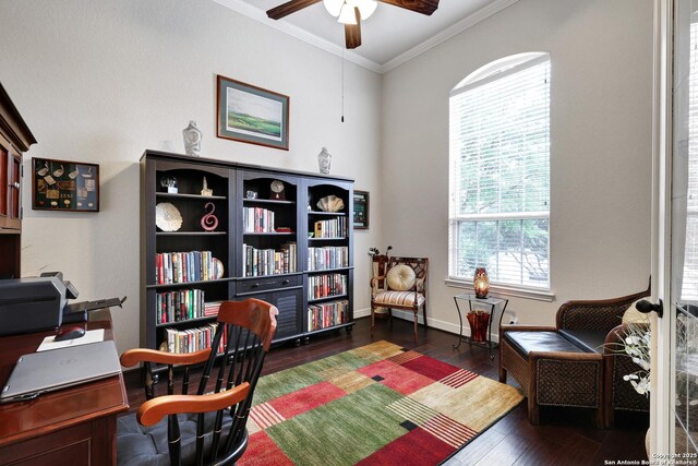 3811 Valencia Ct, San Antonio, TX 78259 - office with ceiling fan, ornamental molding, wood finished floors, and baseboards