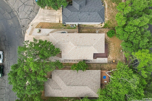 bird's eye view