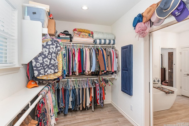 1420 Persimmon Pass, Fischer, TX 78623 - spacious closet with wood finished floors