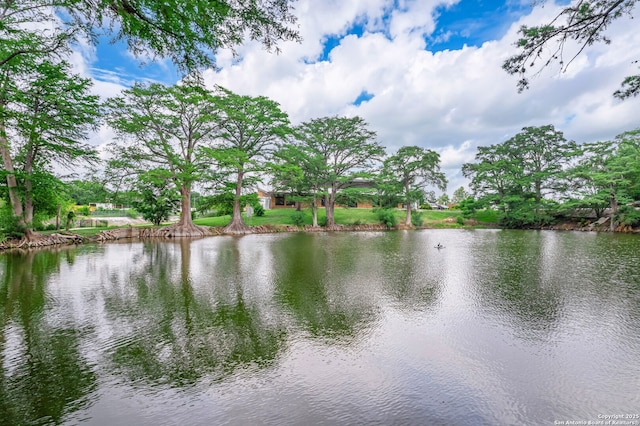 1136 Kentucky Ave, San Antonio, TX 78201 - view of water feature