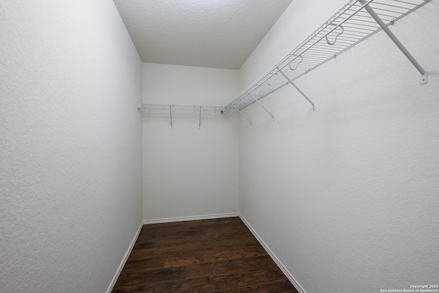 spacious closet featuring wood finished floors