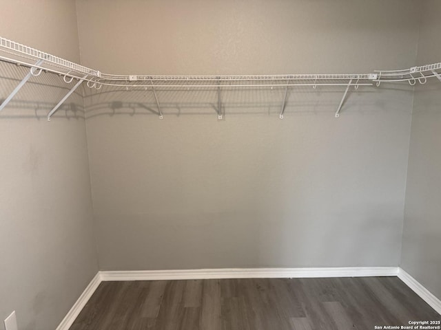 walk in closet with dark wood-type flooring