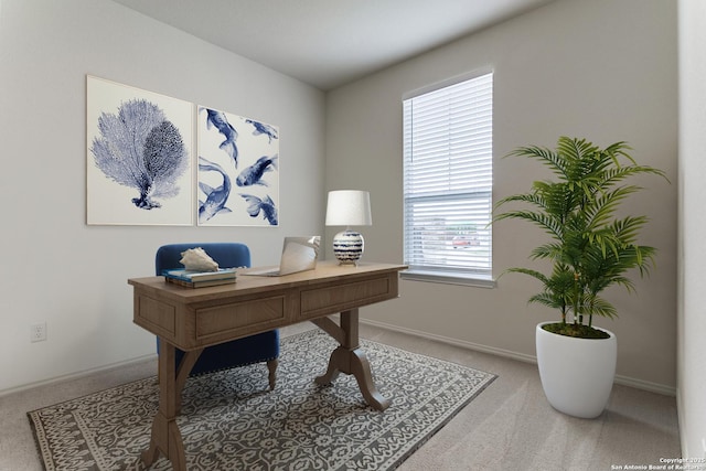 office featuring baseboards and carpet