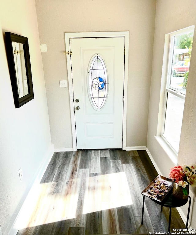 667 Ellor, San Antonio, TX 78228 - entryway featuring baseboards, a wealth of natural light, and wood finished floors