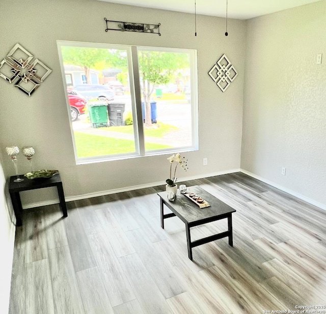 667 Ellor, San Antonio, TX 78228 - living area featuring baseboards, plenty of natural light, and wood finished floors