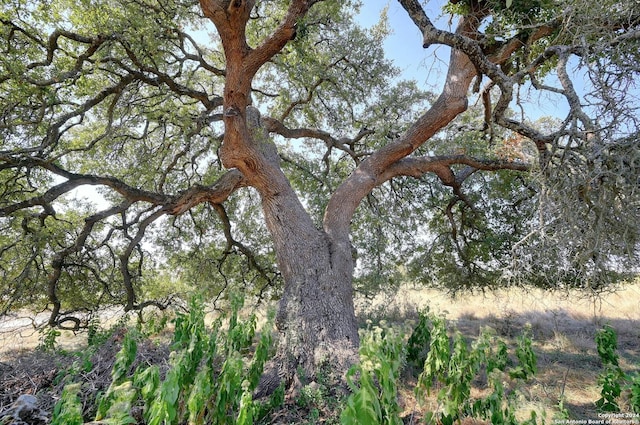 2382 Appellation, New Braunfels, TX 78132