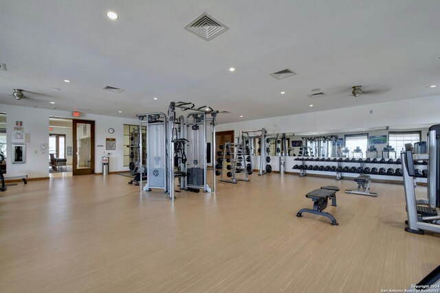 2382 Appellation, New Braunfels, TX 78132