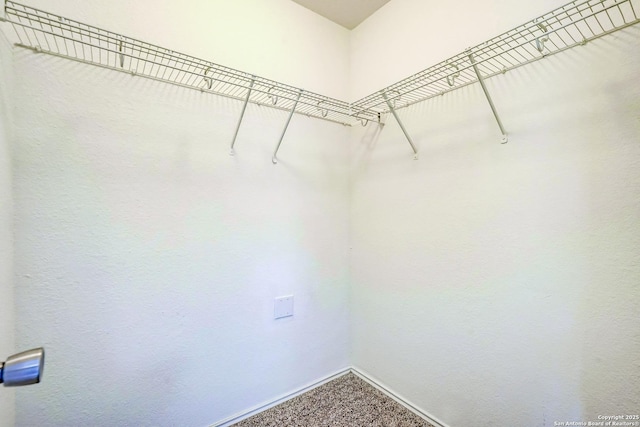 spacious closet with carpet flooring