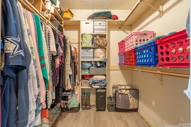 spacious closet featuring wood finished floors