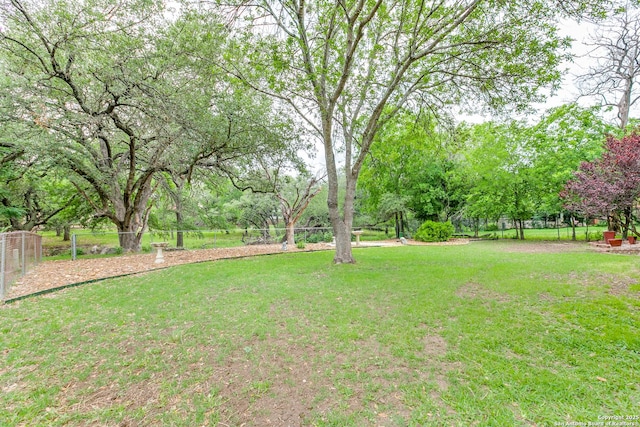 15111 Elkton, San Antonio, TX 78232 - view of yard featuring fence