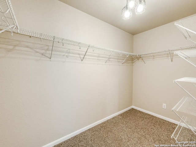 spacious closet with carpet flooring