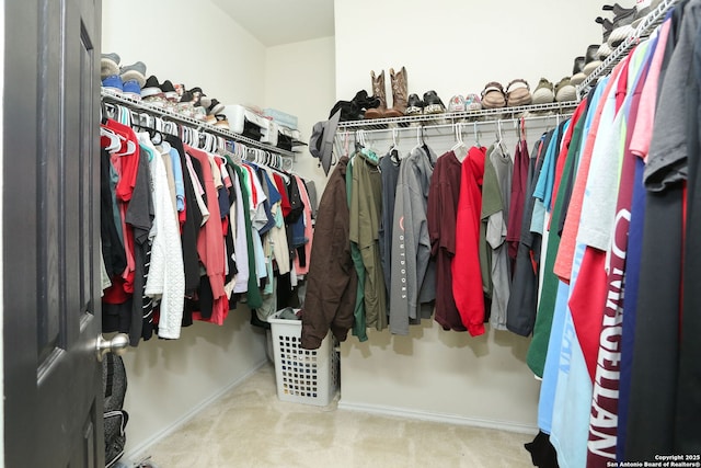 spacious closet with carpet