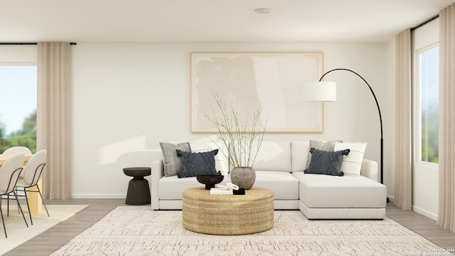 living area featuring baseboards and wood finished floors