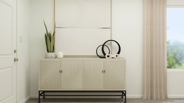 details featuring baseboards and wood finished floors
